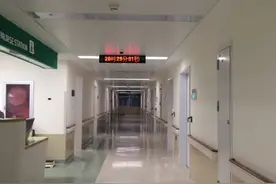 你的命都在另一半手中图片