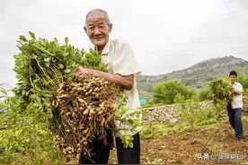 今日七月初二，明初三，俗语“雨逢初二、三，路上不得干”，好吗图片