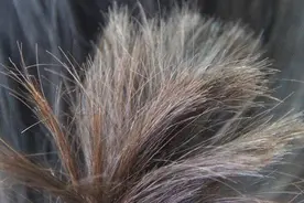 男性身上的毛发，哪些能刮，哪些不能刮？别纠结，一次性讲明白图片