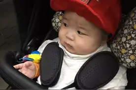 表情包：呵呵，看猪的眼神图片