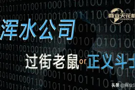 浑水公司，资本市场的清道夫还是搅屎棍？图片