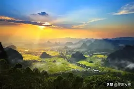 家乡的味道 | 罗定簕古粽：让思乡情甜蜜落地图片