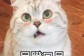 太原一女子奇遇，打过仗的“美国大兵”要寄美金！反诈骗中心提醒：谨防上当图片