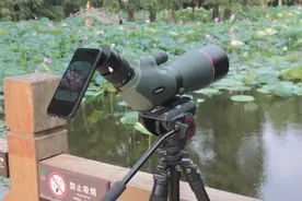 望远镜接手机实拍效果 森林人82双ED单筒观鸟望远镜接苹果XR拍摄图片