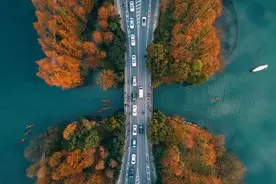哲思|非相图片