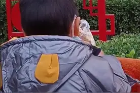 河南：3岁男孩路遇爸爸照片，“天冷了，我们回去吧”图片