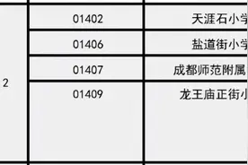 成都小摇号解析！附青2、青5、锦2、高9等热门片区盘点图片