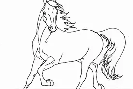 马的基础造型画法图片