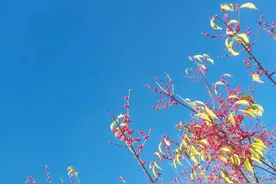 如何让孩子感受到生活如此美好，我要好好学习天天向上？图片