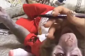 男子将猴子给表妹寄养，当他去接猴子回家时，一开门傻住图片