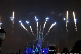 扎根上海5年的沪漂狗，告诉你真实的上海是什么样子的图片