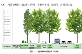 编制者详解北京首部“步行和自行车交通规划”标准 行人、自行车路权优先图片