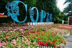 生物多样性公约《行动议程》新平台落地，促进非国家主体行动图片