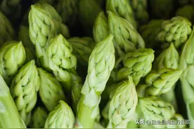 你就算失去了一切，友情，爱情，工作，没关系，你还有你自己图片