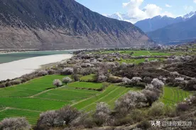 西藏自治区 林芝市 索松村图片