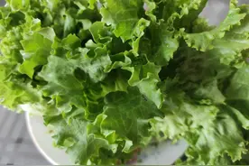 减肥日记曝光之喜得减肥秘方图片