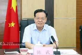 陈武调研广西自贸试验区建设图片
