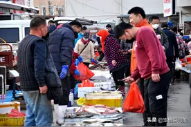青岛人眼中的小海鲜，价格不贵块把钱一斤，海捕野生养殖育肥都有图片