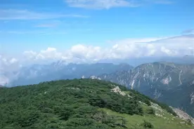 秦岭北麓有些峪口封闭一年多了，效果怎么样？我们能离开秦岭吗？图片
