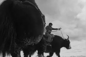 痛心！“帕米尔雄鹰”牺牲，一家三代护边70年图片