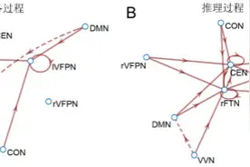 数学天才的大脑是怎么运作的？科学研究告诉你你的孩子是否超常图片
