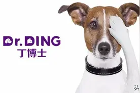 养狗必须知道的打疫苗常识，几大误区不能犯！图片