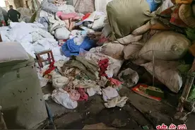 揭秘黑心棉的逆袭之路：黑心棉从废品“摇身”变名牌图片