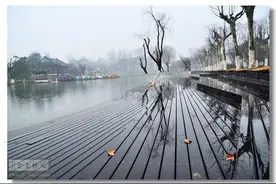 江南有雨成雨季图片