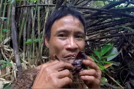 真人版泰山：父子丛林生活41年，儿子不知女人的存在图片