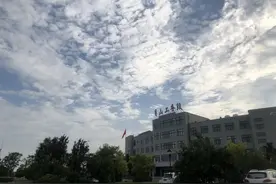 湛蓝或明黄，你的夏天是什么颜色？图片