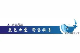 @德州市民：马路牙子上以后能停车吗？怎么停？何时停？图片
