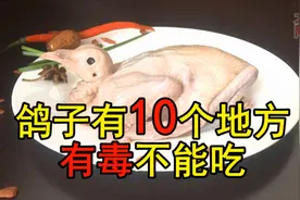 鸽子十个地方毒素最重，不要随便吃，23年一级大厨专业详细讲解图片