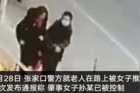 张家口“肘击老人”女子已被控制 警方曾悬赏万元寻肇事者图片