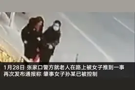 张家口“肘击老人”女子已被控制 警方曾悬赏万元寻肇事者图片