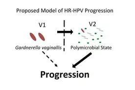 不用检测HPV，只用鉴定微生物组或可预测感染HPV前期癌症风险图片