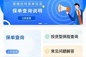 忘记买了什么保险，4种方法帮你查询保单图片