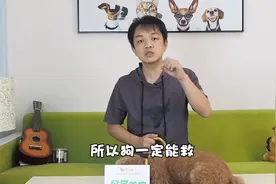 狗狗顽皮还有救吗？狗有救，你却不一定视频封面