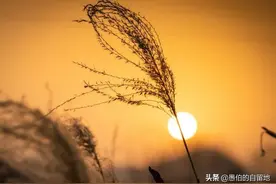 被丰县父母抱养的这个女孩，在回家的路上，得知了父亲去世的消息图片