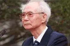 乱拳打死老师傅：沈鹏书法作品的梗图片