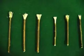 古人牙齿保健｜中华养生，健齿有道，古人也刷牙，并且还有牙膏图片