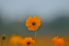 给身边人一个好脸色，就是在行善积德图片