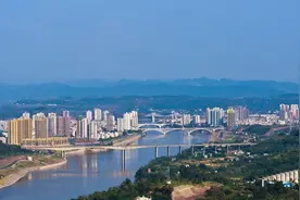 【重庆农特产品】合川湖皱丝瓜图片