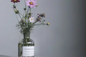 智商超卓，但注定要孤独一生的三大星座，不是天才就是孤独图片