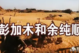 彭加木和余纯顺图片