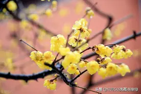 北宋风云人物王安石：宰相肚里能撑船图片