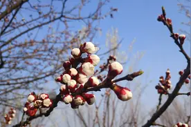 郑州市内玩，东南新晋黑马！“郑州仙本那”一年四季都超美的地方图片