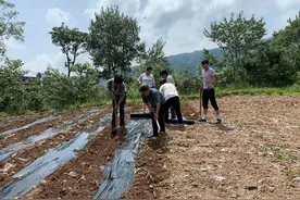 贵州“最贫村”的绝地反击图片