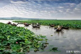 鲁南明珠——微山湖的前世今生图片