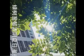 西航再见，再见西航！图片