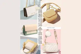 百元小众包包｜贫民窟女孩也能背出高级感图片